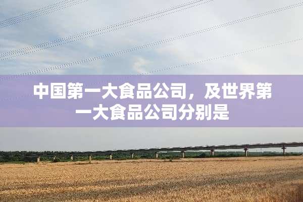 中国第一大食品公司，及世界第一大食品公司分别是