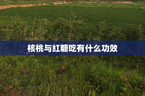 核桃与红糖吃有什么功效