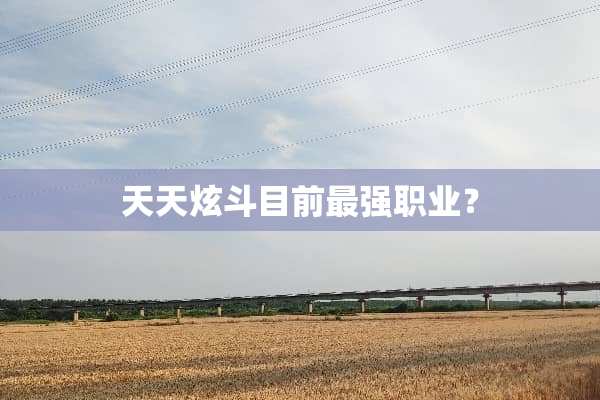 天天炫斗目前最强职业？