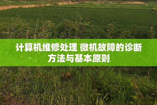 计算机维修处理 微机故障的诊断方法与基本原则