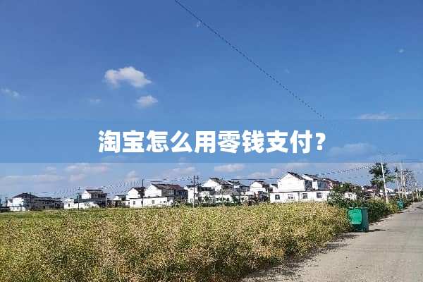 淘宝怎么用零钱支付？