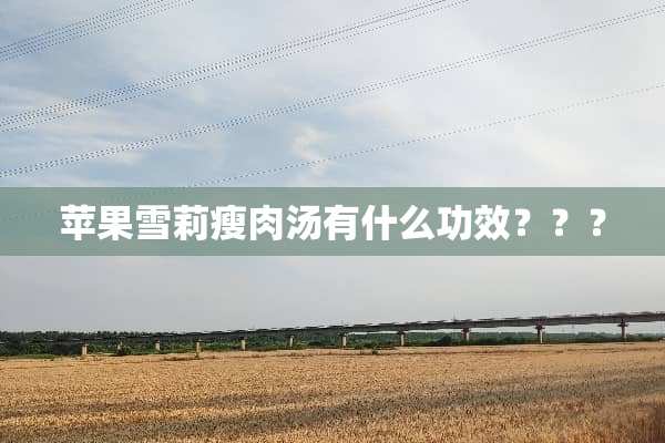 苹果雪莉瘦肉汤有什么功效？？？