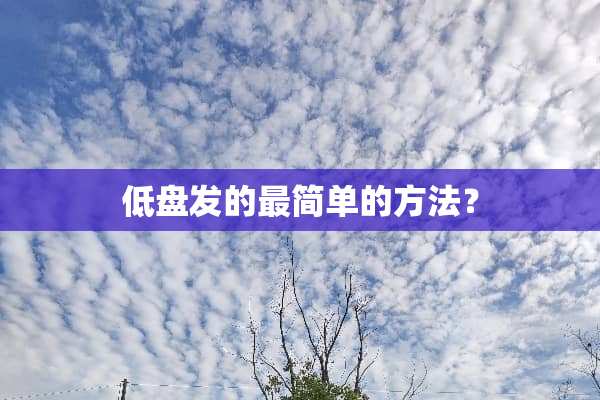 低盘发的最简单的方法？