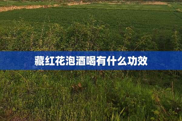 藏红花泡酒喝有什么功效