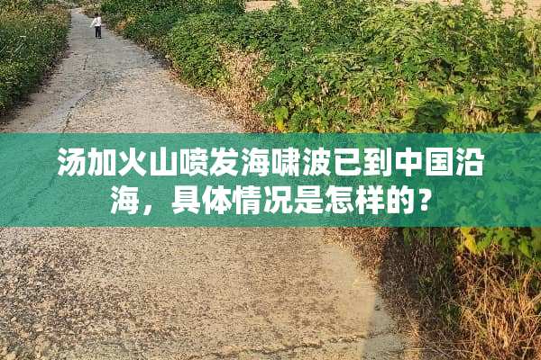 汤加火山喷发海啸波已到中国沿海，具体情况是怎样的？
