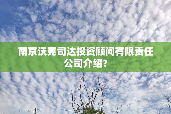 南京沃克司达投资顾问有限责任公司介绍？