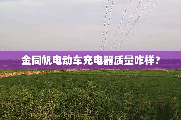 金同帆电动车充电器质量咋样？