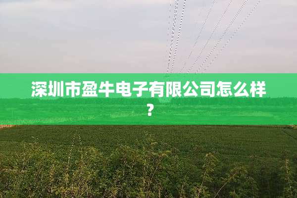 深圳市盈牛电子有限公司怎么样？
