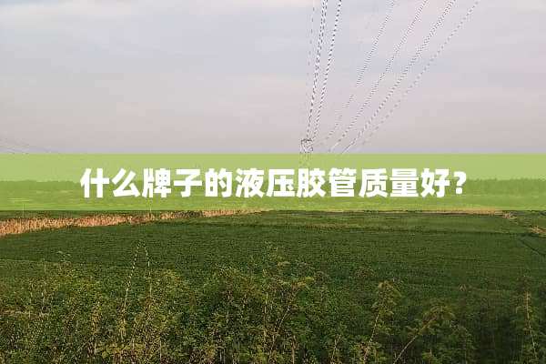 什么牌子的液压胶管质量好？