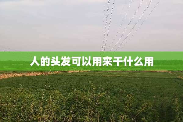 人的头发可以用来干什么用