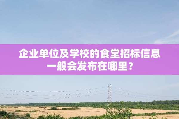 企业单位及学校的食堂招标信息一般会发布在哪里？