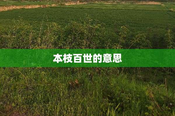 本枝百世的意思