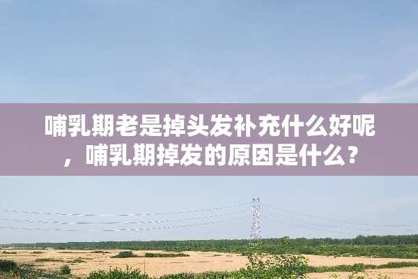 哺乳期老是掉头发补充什么好呢，哺乳期掉发的原因是什么？