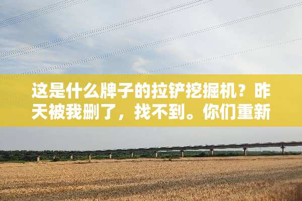 这是什么牌子的拉铲挖掘机？昨天被我删了，找不到。你们重新回答。不知道就别来！