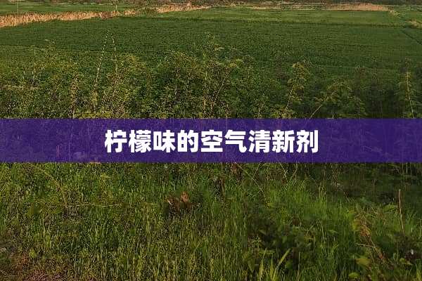 柠檬味的空气清新剂