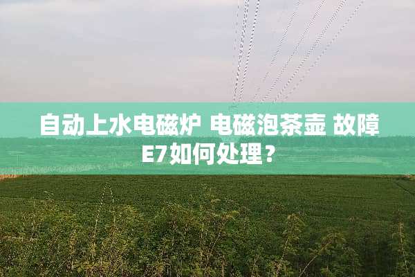 自动上水电磁炉 电磁泡茶壶 故障E7如何处理？