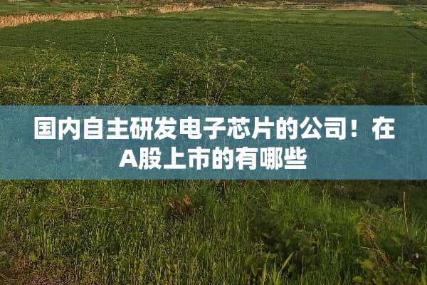 国内自主研发电子芯片的公司！在A股上市的有哪些