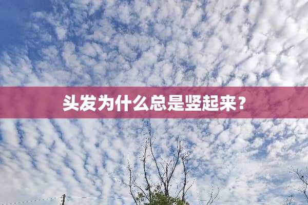 头发为什么总是竖起来？