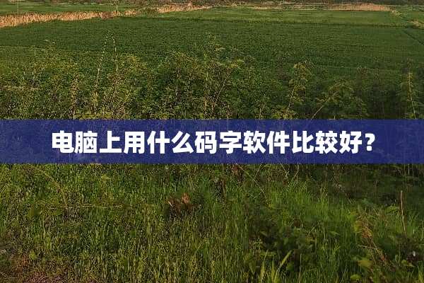 电脑上用什么码字软件比较好？