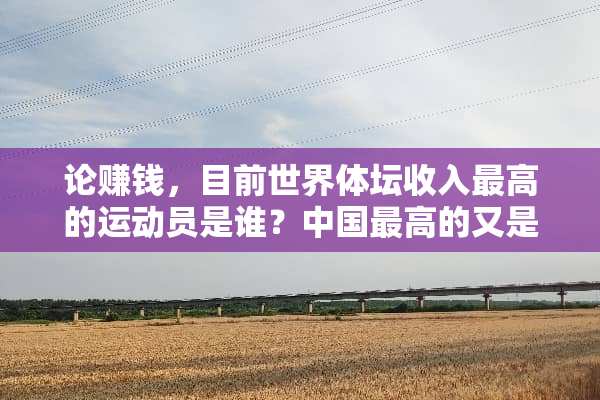论赚钱，目前世界体坛收入最高的运动员是谁？中国最高的又是谁？