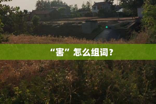 “害”怎么组词？
