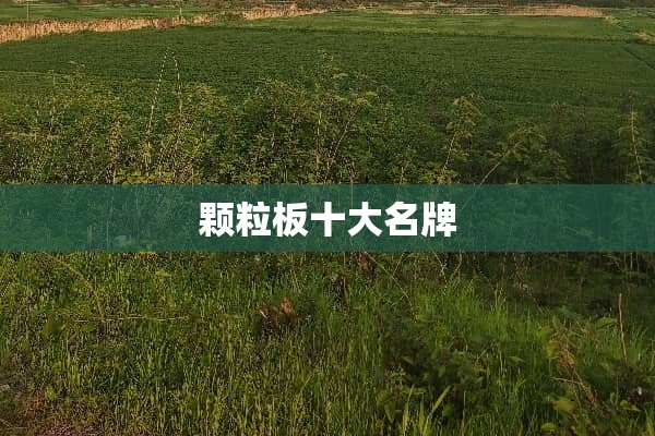 颗粒板十大名牌