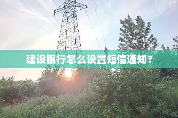 建设银行怎么设置短信通知？