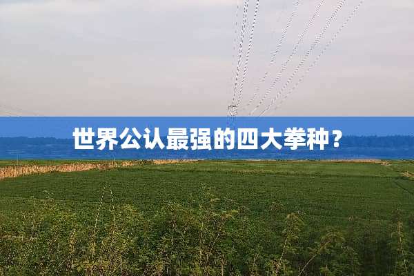 世界公认最强的四大拳种？