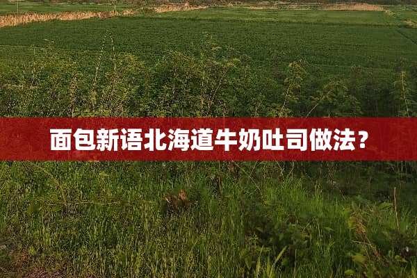 面包新语北海道牛奶吐司做法？