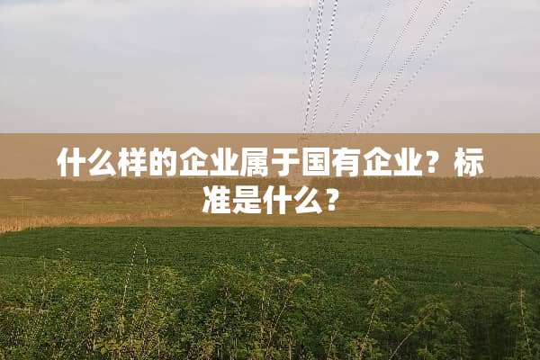 什么样的企业属于国有企业？标准是什么？