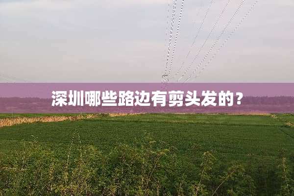 深圳哪些路边有剪头发的？