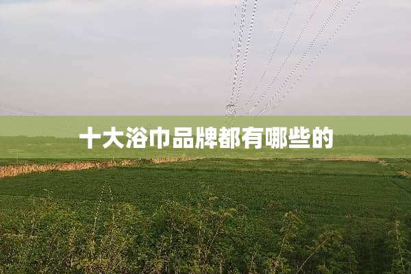 十大浴巾品牌都有哪些的