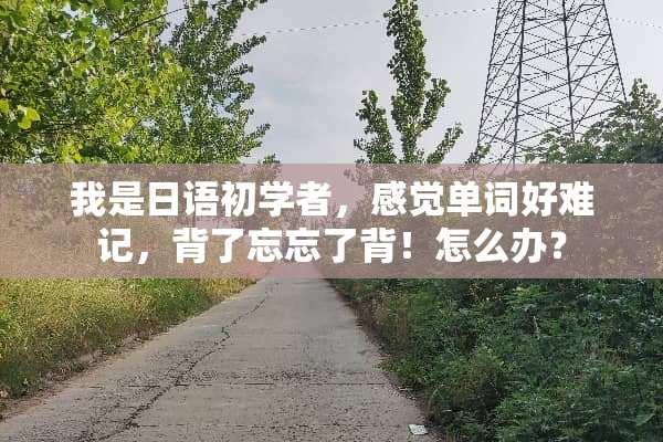 我是日语初学者，感觉单词好难记，背了忘忘了背！怎么办？