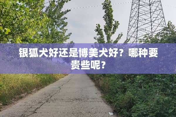 银狐犬好还是博美犬好？哪种要贵些呢？
