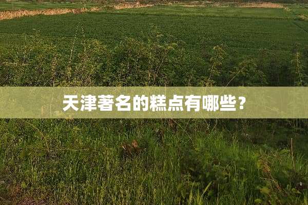 天津著名的糕点有哪些？