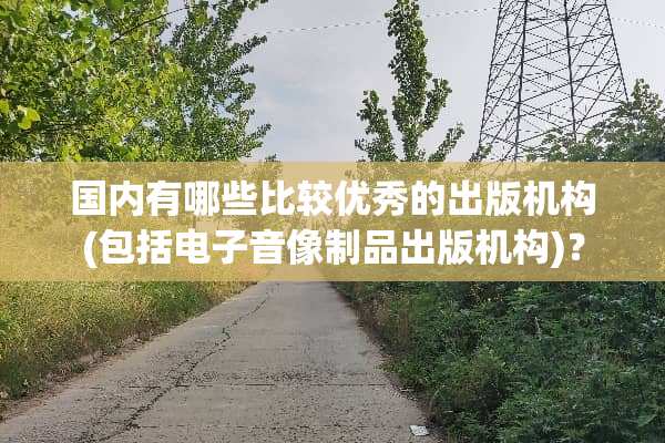 国内有哪些比较优秀的出版机构(包括电子音像制品出版机构)？