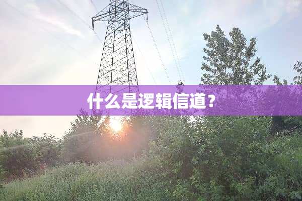 什么是逻辑信道？