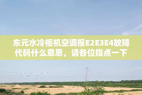 东元水冷柜机空调报E2E3E4故障代码什么意思，请各位指点一下