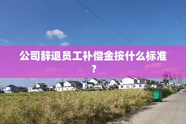 公司辞退员工补偿金按什么标准？