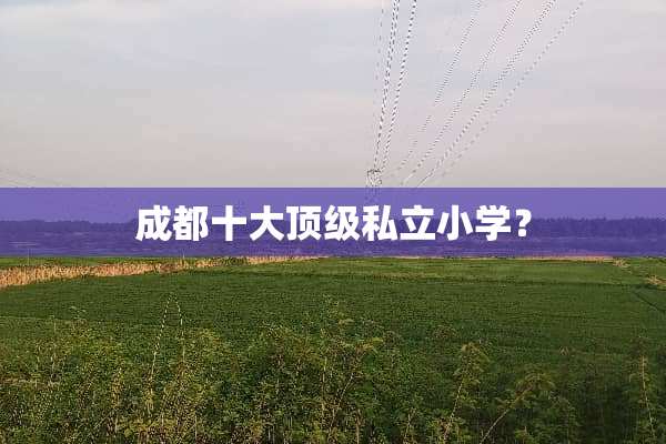 成都十大**私立小学？