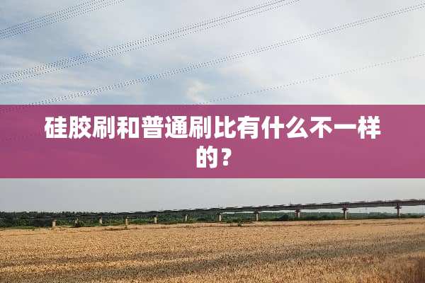 硅胶刷和普通刷比有什么不一样的？