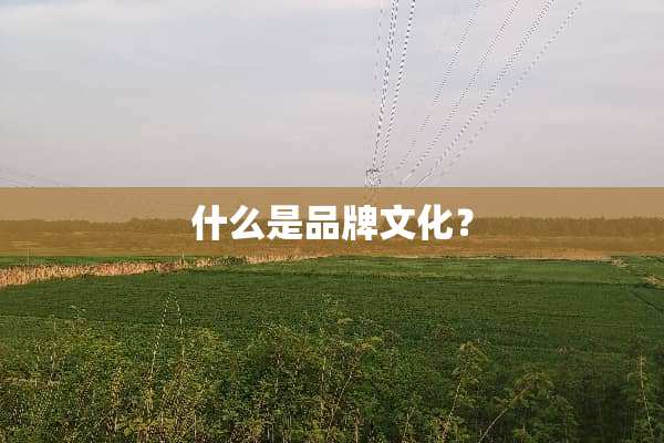 什么是品牌文化？