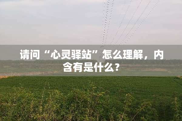 请问“心灵驿站”怎么理解，内含有是什么？