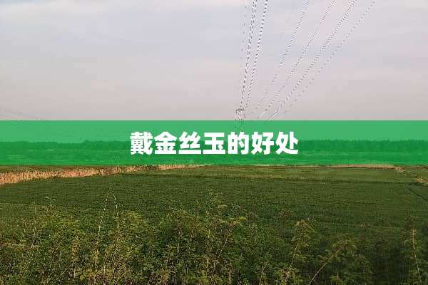 戴金丝玉的好处