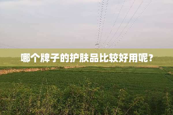 哪个牌子的护肤品比较好用呢？