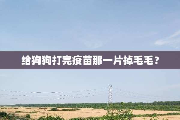 给狗狗打完**那一片掉毛毛？