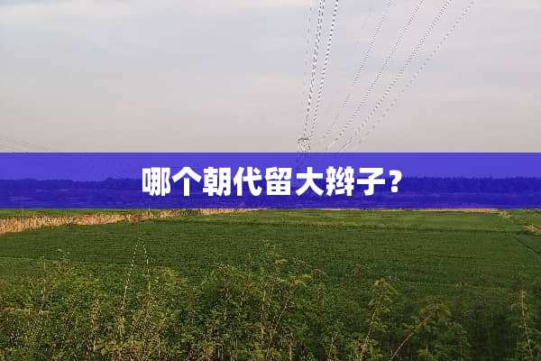哪个朝代留大辫子？