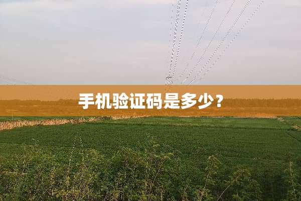 手机验证码是多少？