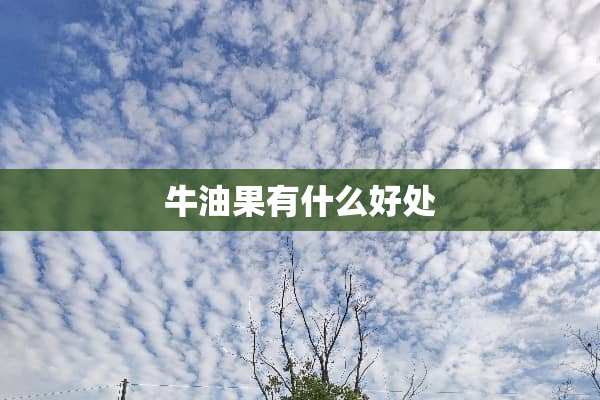 牛油果有什么好处