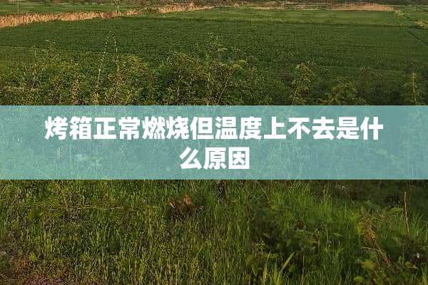 烤箱正常燃烧但温度上不去是什么原因